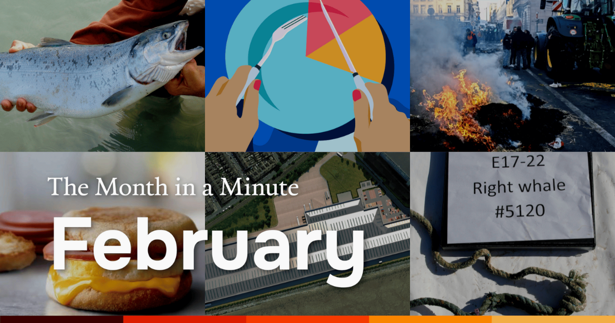 A collage of news images. Text reads: The Month in a Minute February