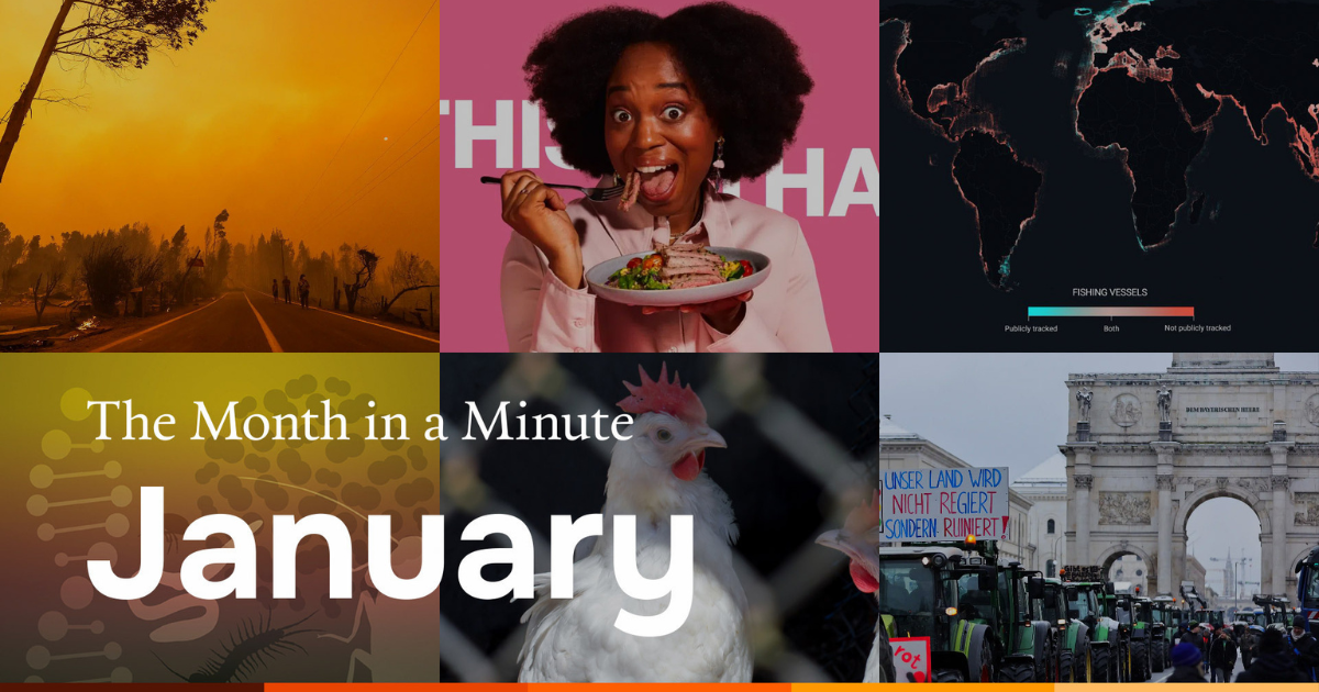 A collage of news images. Text reads: The Month in a Minute January