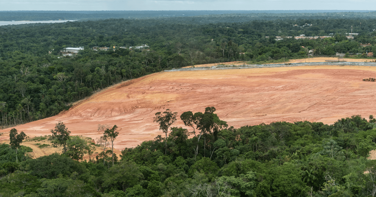 Deforestation Is Falling Under Brazil's New President — but Is It  Too Late?