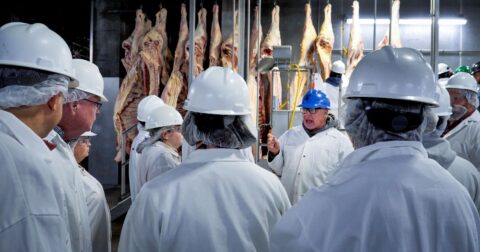 Meat factory workers
