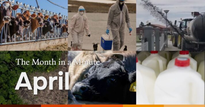 A collage of news images. Text reads: The Month in a Minute April
