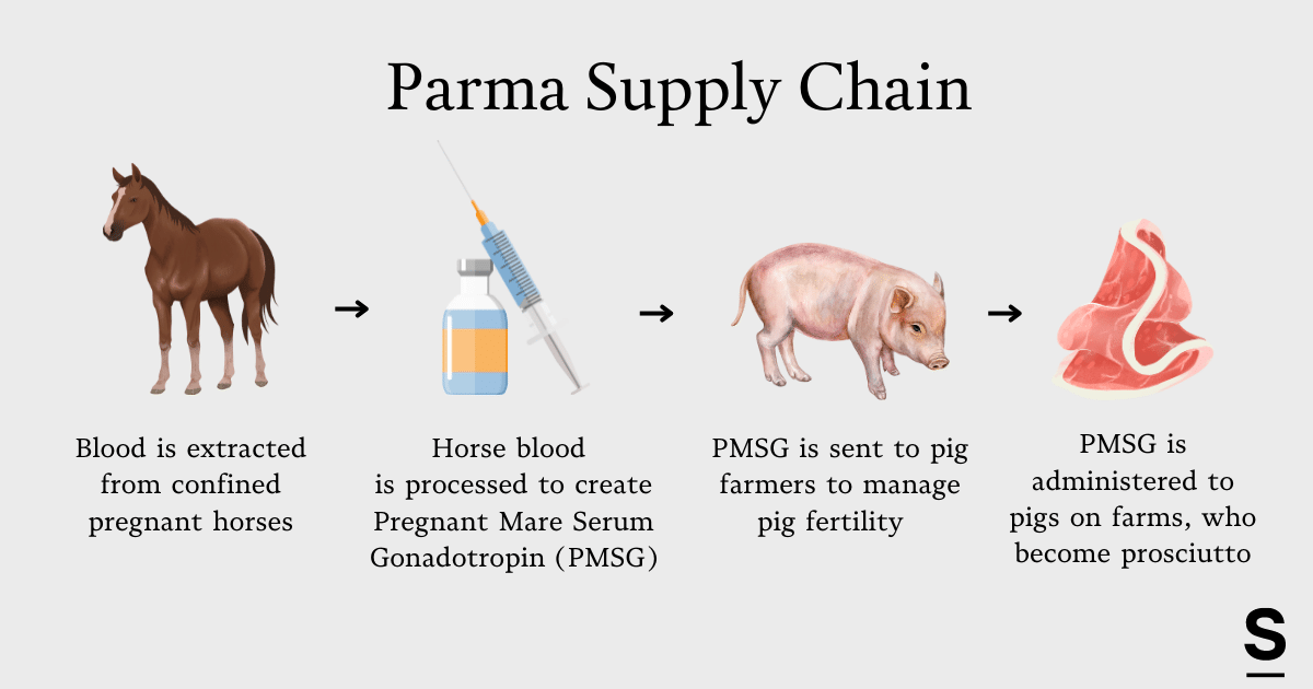 Parma supply chain infographic