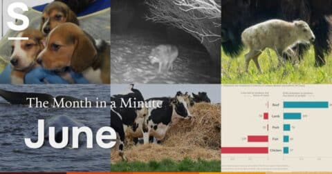 A collage of news images. Text reads: The Month in a Minute: June