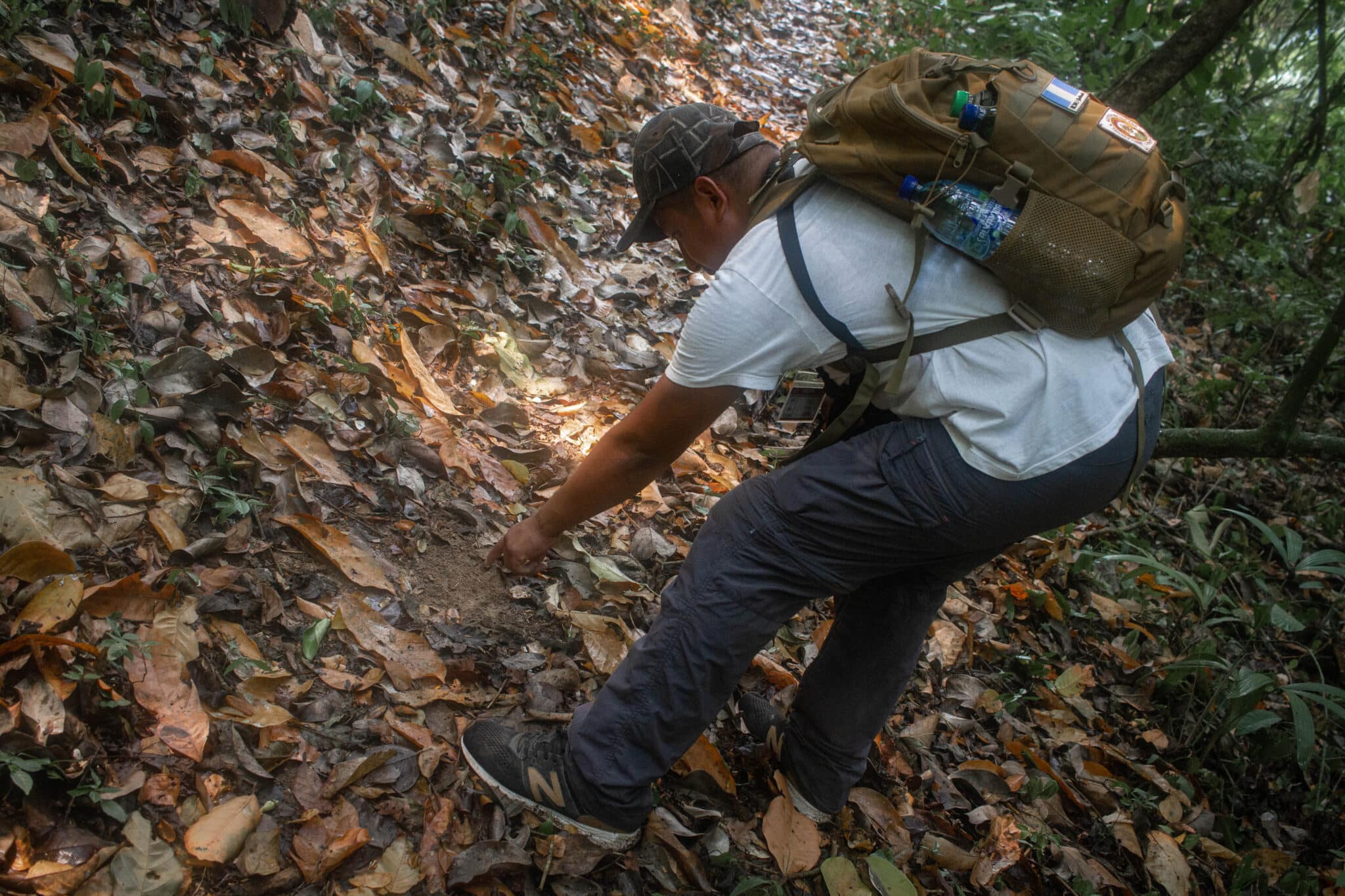 A man in the forest