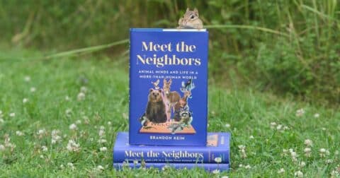 A squirrel peeks over a copy of Meet the Neighbors