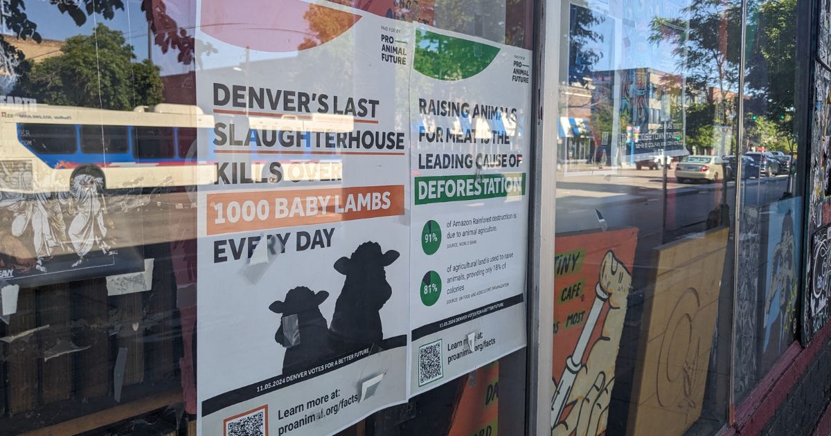 Pro Animal Future signs hanging in a window. They say "Denver's last slaughterhouse kills over 1000 baby lambs every day" and "Raising animals for meat is the leading cause of deforestation"