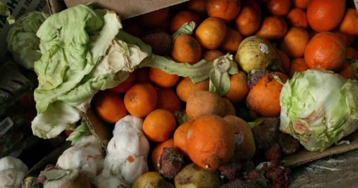 A box of food scraps