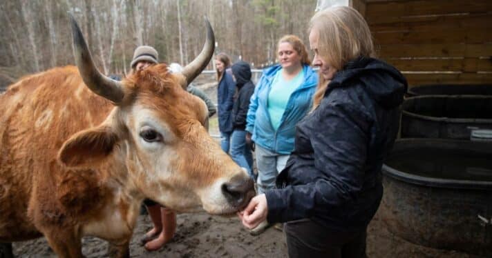 Delci Winders with a cow at Vine Sanctuary