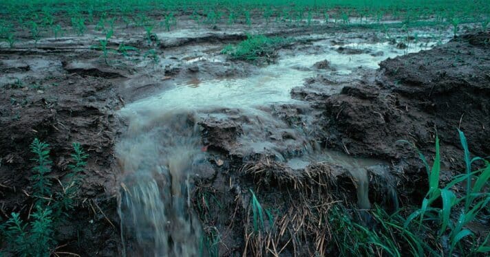 Agricultural runoff