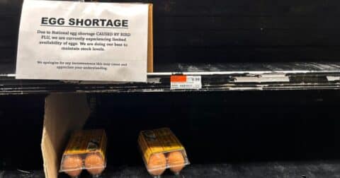 National Egg Shortage due to Bird Flu, sign on empty shelf at supermarket