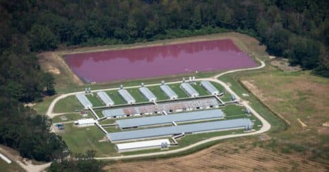 Aerial views of CAFO (Concentrated Animal Feeding Operations) farms.