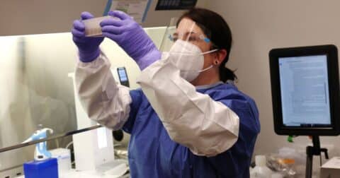 A medical technologist in the molecular diagnostic lab extracts DNA from milk samples for testing