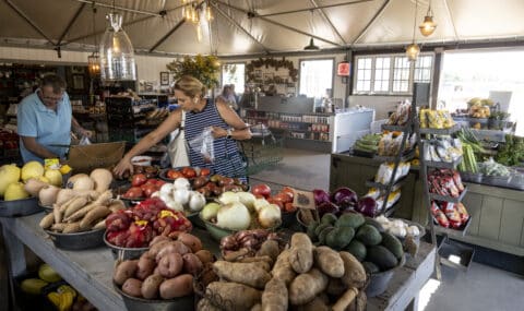 Shoppers pick their produce at Manassero Farms Irvine Market