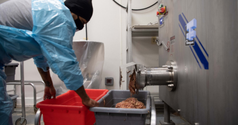 A meatpacking worker collecting meat