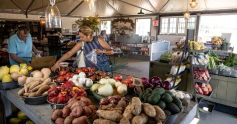 Shoppers pick their produce at Manassero Farms Irvine Market