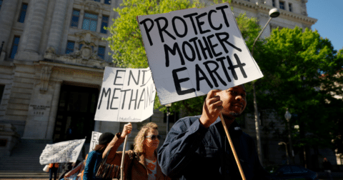 Climate activists holding a protest with signs