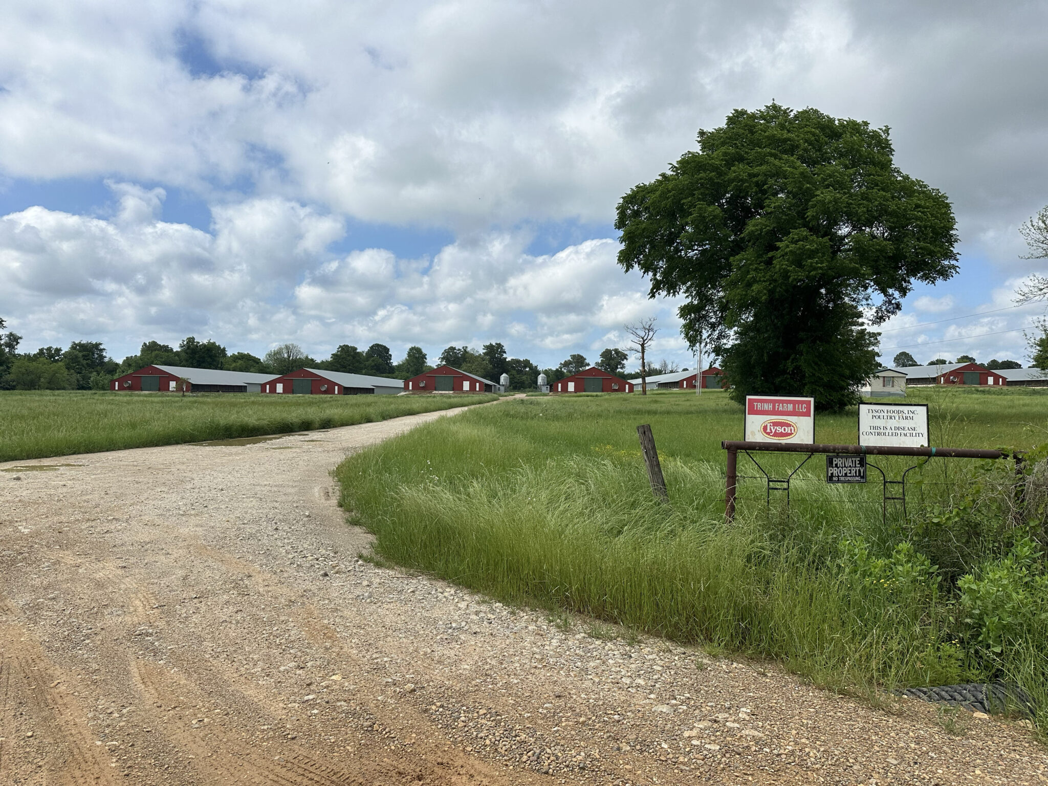 The outside of a poultry farm