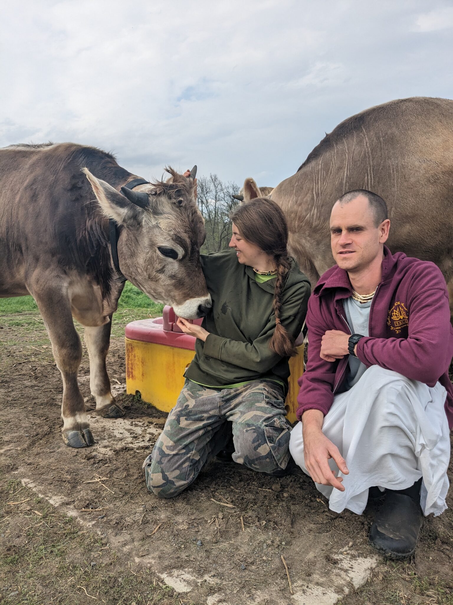 Two farmers with two cows