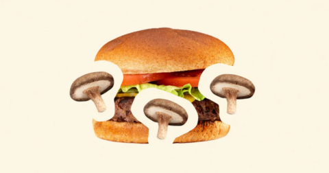 Graphic of a burger and three mushrooms