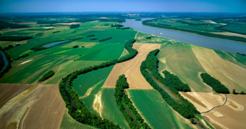 Farmland in Illinois by the Ohio River