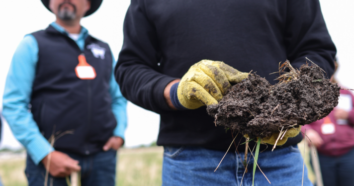A gloved person holding dirt