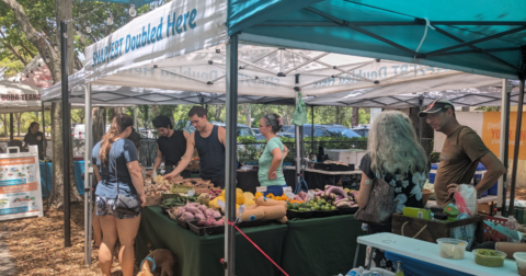 People shopping at a farmers market