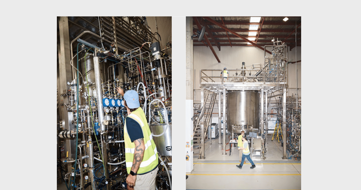 Workers in a facility