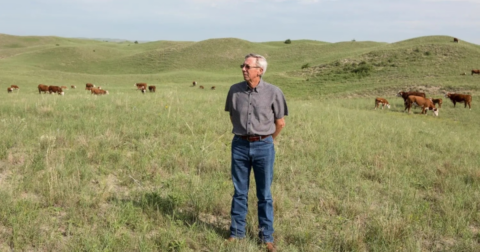 Cattle Rancher Dan Morgan