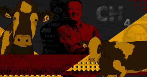 Graphic of an executive and two cows