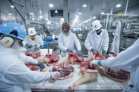 Workers at a pork processing plant