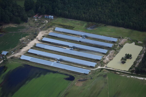 A factory farm