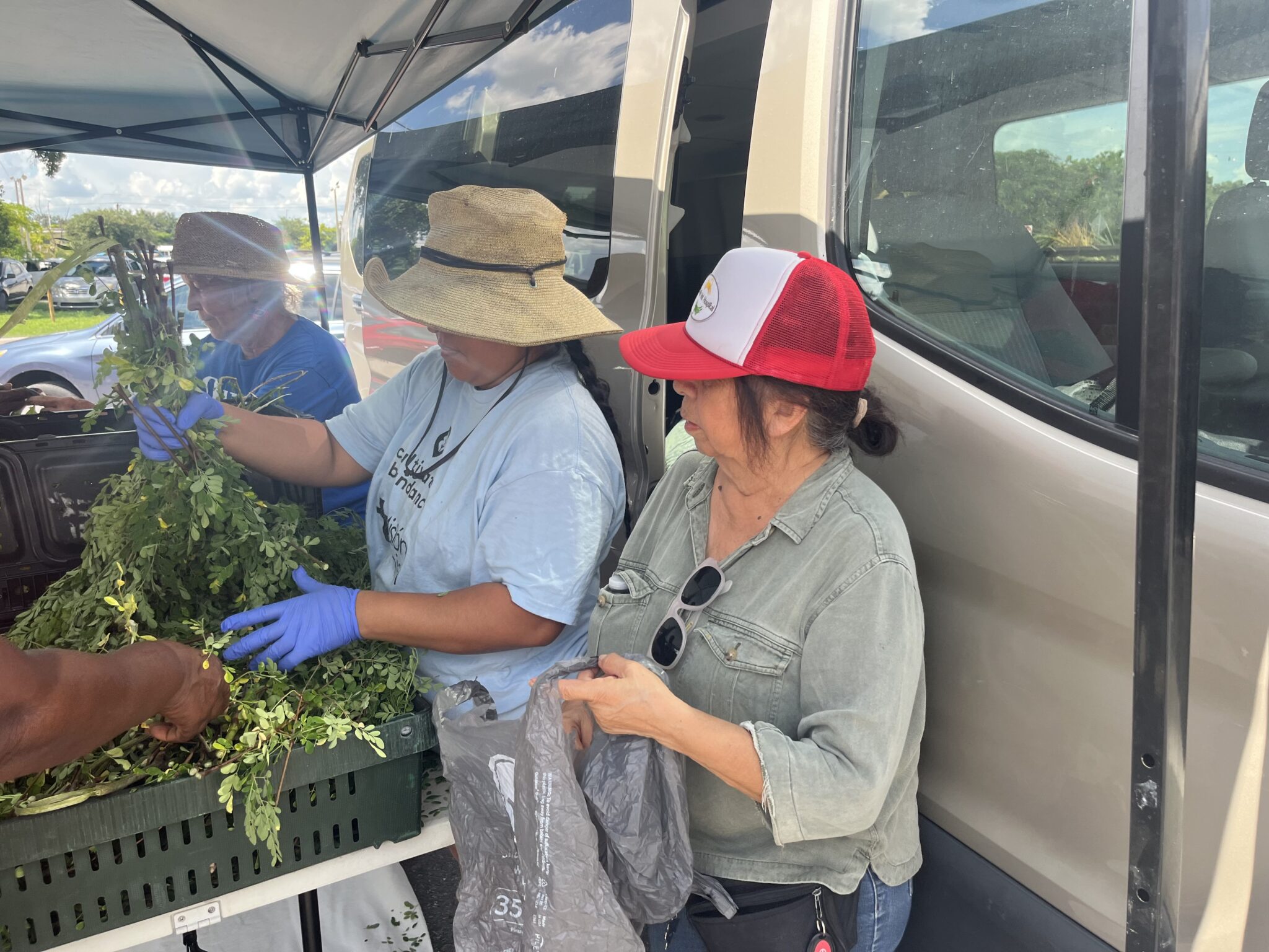 A person organizing plants for another person
