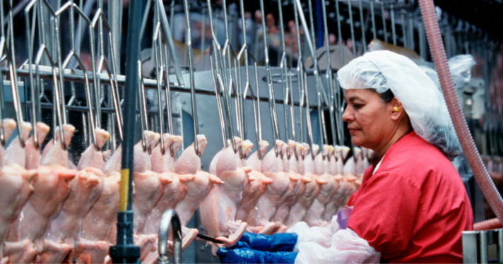 A worker in a chicken processing plant