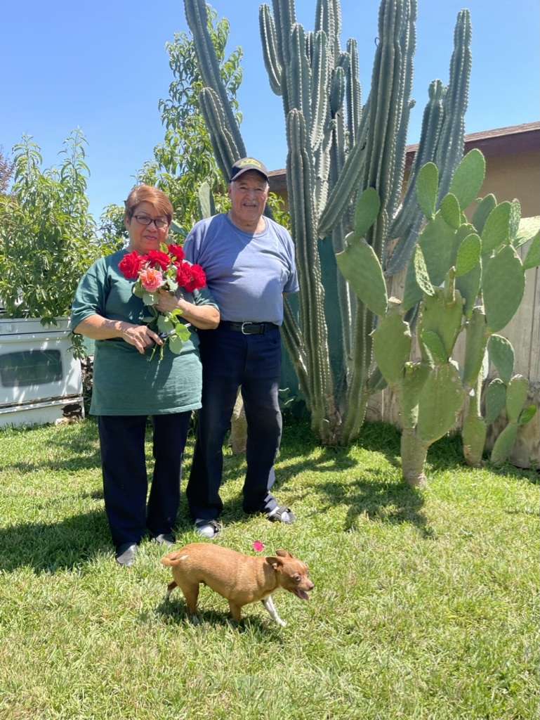 A man and woman standing in grass with a dog