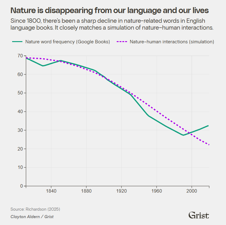 A graph from Grist