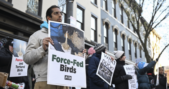 A protest with signs against foie gras