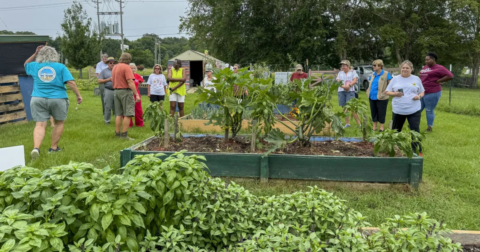 A group of gardeners