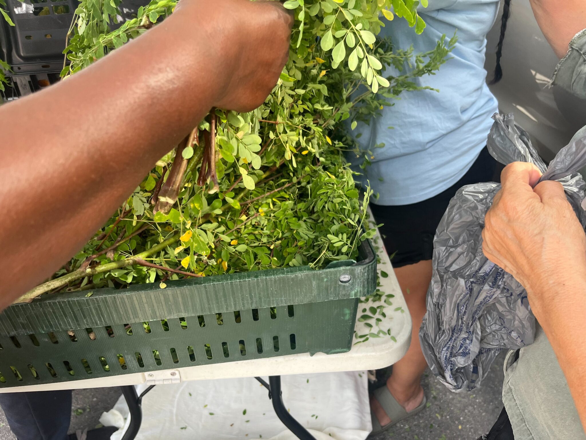 People sorting vegetables