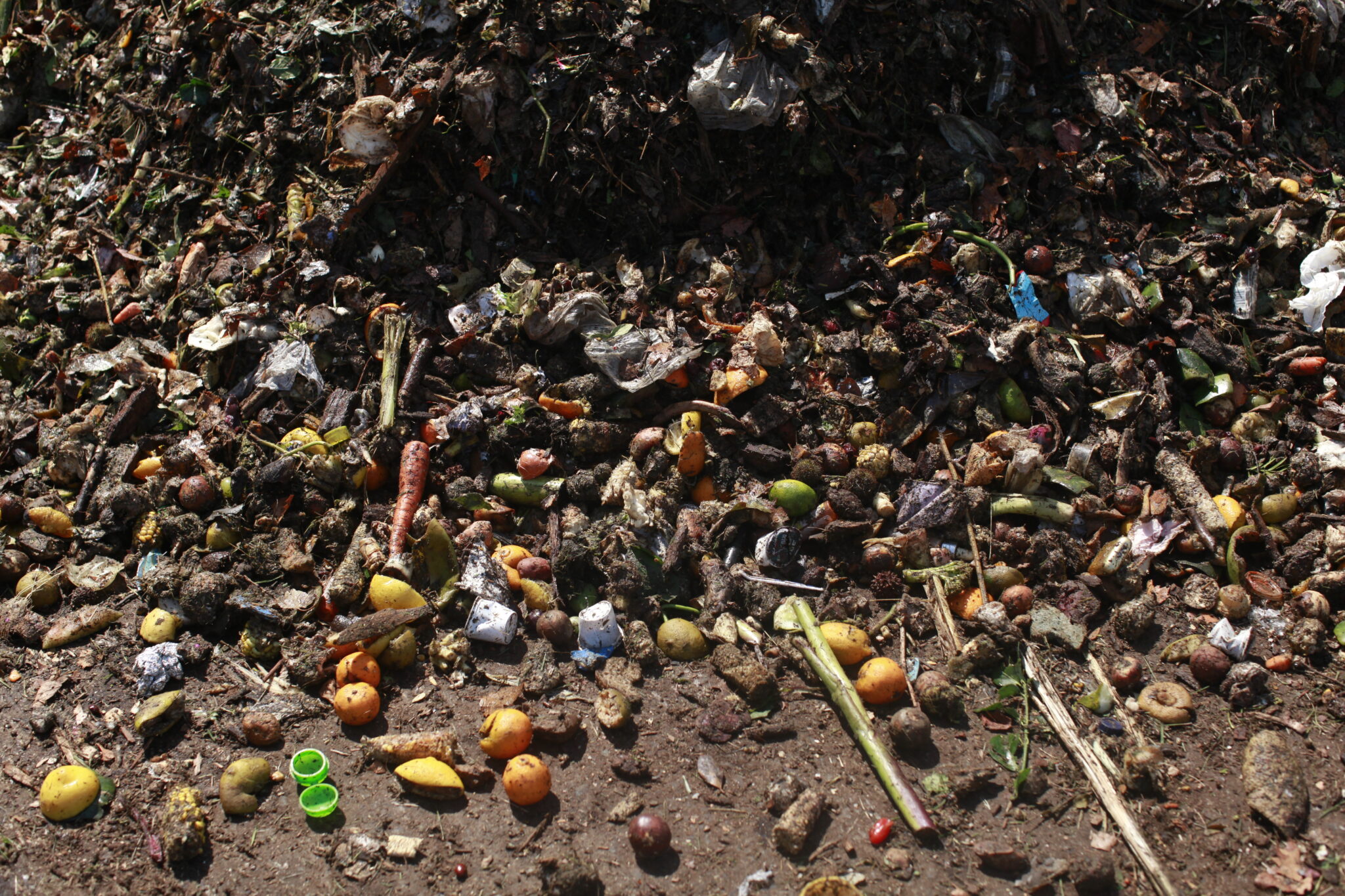 Food waste on the ground