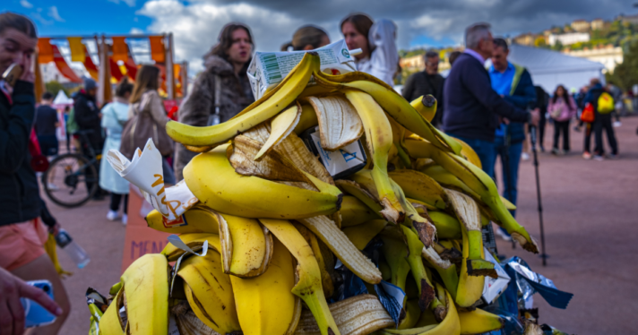 A bin filled with banana peels
