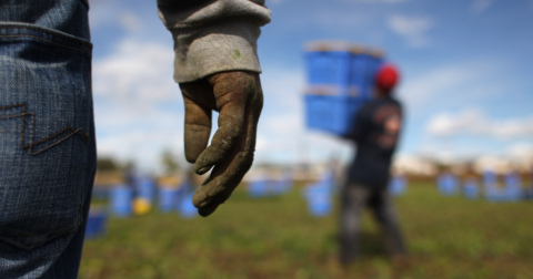 A dirt covered hand