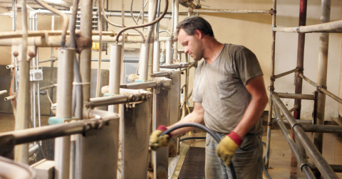 A man hosing down the inside of a dairy barn