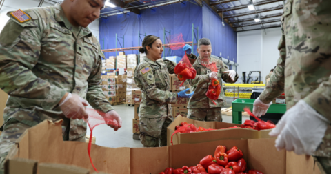 A group of Army servicemembers organizing boxes of food