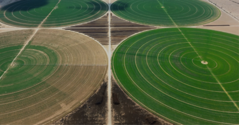 Circular green fields
