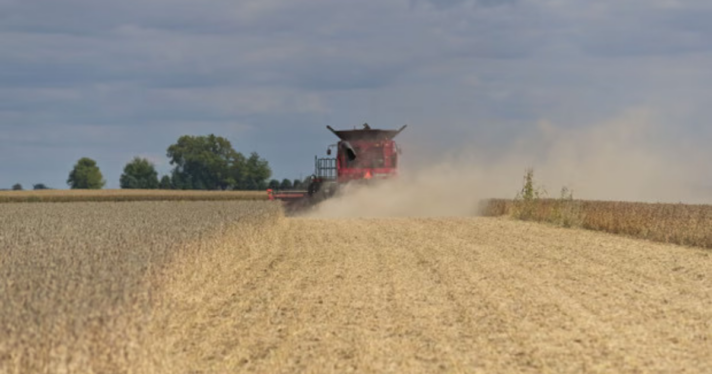 A harvester at work