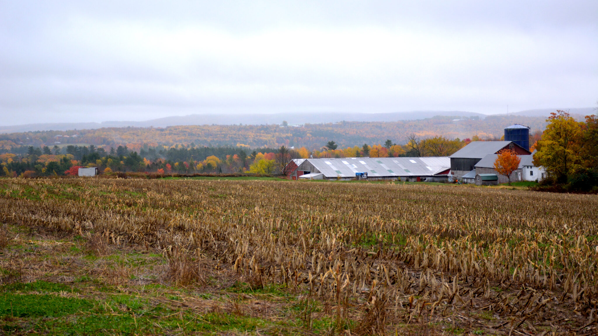 A farm in Maine