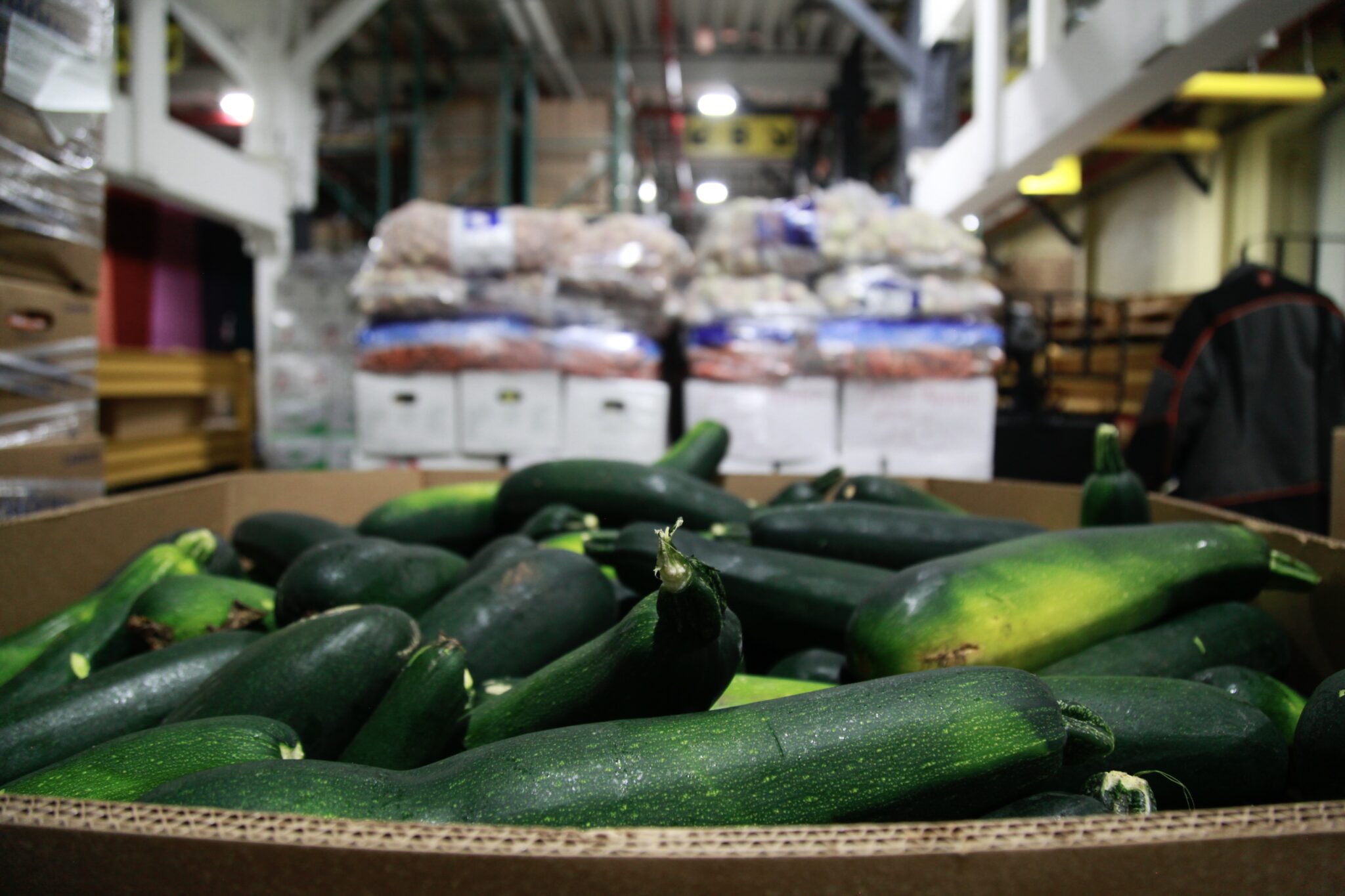 Bags of zucchini in a grocery store