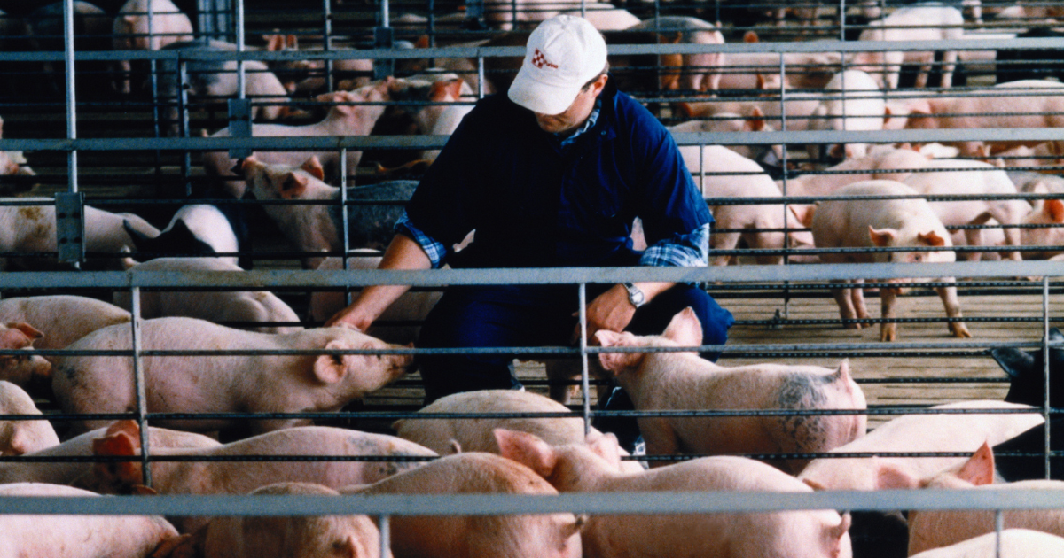 Michigan’s new tougher limits on factory farm waste are a long time coming