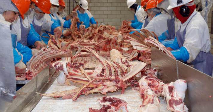 Workers inside a beef slaughterhouse