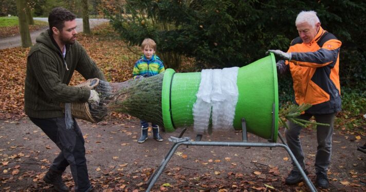 Volunteers pack Christmas trees into netting sleeves